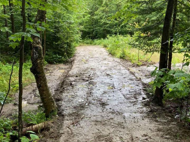 Forest Road Sherbrooke