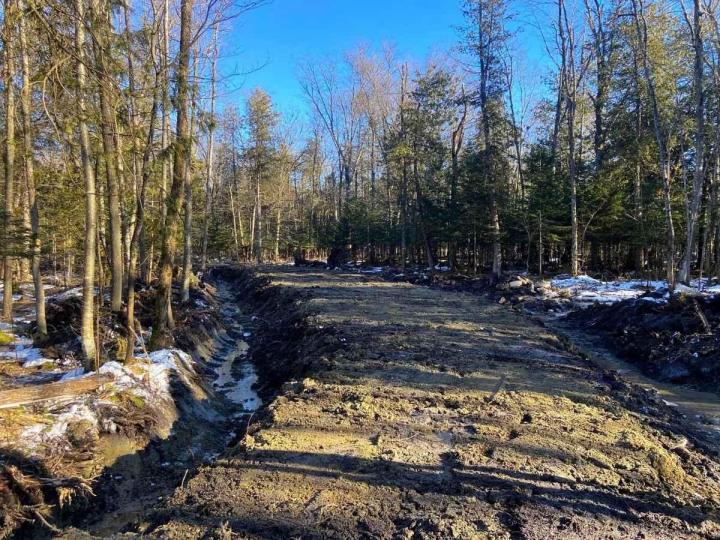 Forestry Work Sherbrooke